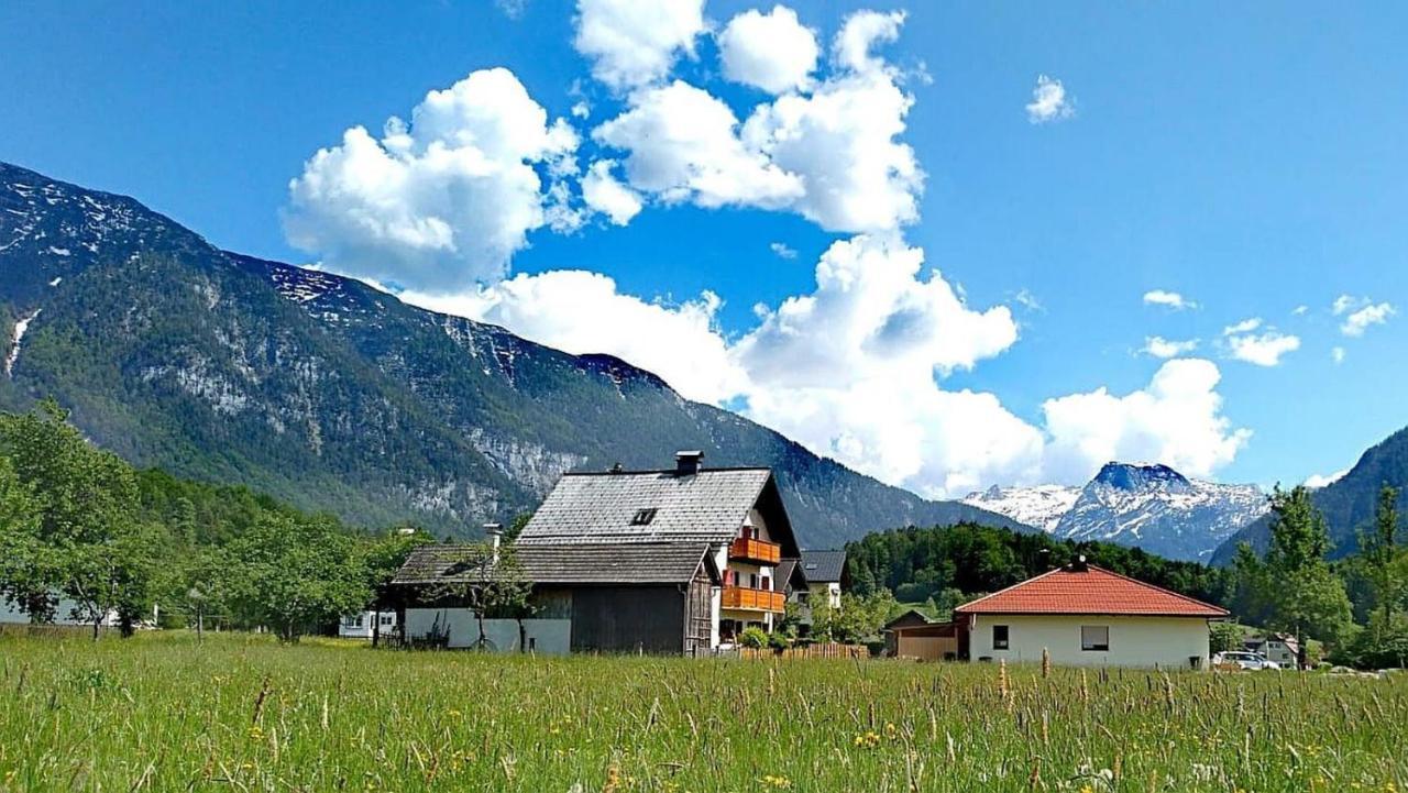 Ferienwohnung Haus Moni Bad Goisern am Hallstättersee Exterior foto
