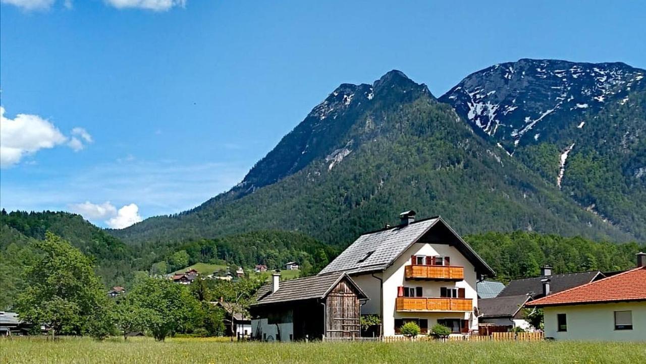 Ferienwohnung Haus Moni Bad Goisern am Hallstättersee Exterior foto